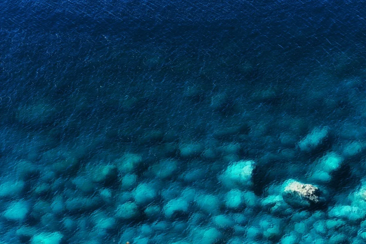 Calm open water under a low horizon, the visual thread running through Halcyon Waters research notes