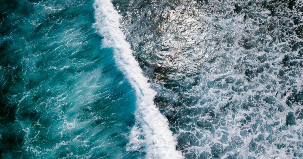 Abstract dark plate: many turbulent coral filaments enter from the left and settle onto a single steady blue line running to the right edge